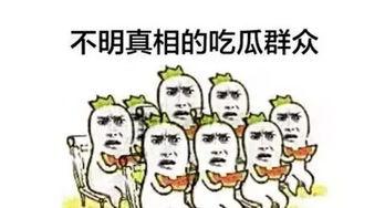东哥吃瓜群众,揭秘网络红人的幕后生活