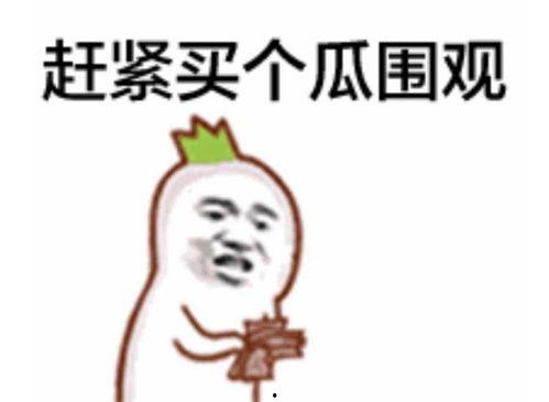 张店的吃瓜群众是谁呀,张店吃瓜群众背后的神秘身份