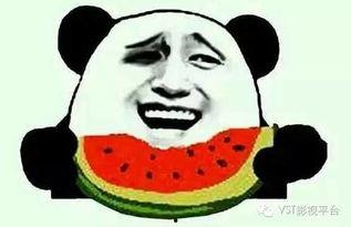 湖边的吃瓜群众是谁,一场神秘事件的背后真相