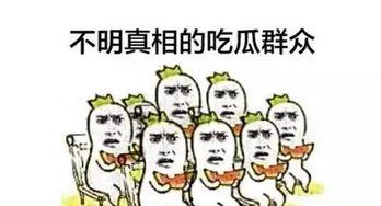 吃瓜的群众发言,揭秘娱乐圈最新热点事件