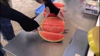 吃瓜群众吃瓜姐妹集合,瓜姐们的欢乐时光