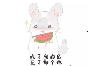 一群不明的吃瓜群众图,他们是谁？为何如此热衷于围观事件？