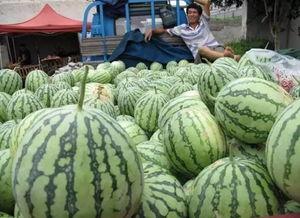 吃瓜群众判几年,网络舆论场中的角色与法律边界