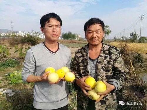 吃瓜群众426号,一场全民参与的娱乐盛宴