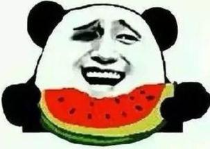 成熟稳重吃瓜群众,看瓜群众深度解析娱乐圈风云