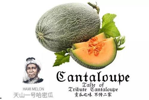 吃瓜群众最新分享,娱乐圈幕后大揭秘！