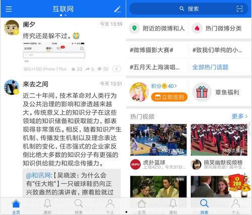 吃瓜群众的网址是什么呀,探寻网络热词背后的秘密