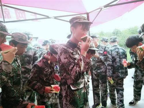 一群吃瓜的群众视频,吃瓜群众视频背后的热议瞬间