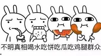 吃瓜群众第三季在线观看,揭秘娱乐圈风云，带你领略幕后真相