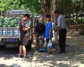 最好的选择就是吃瓜群众,成为吃瓜群众的智慧指南