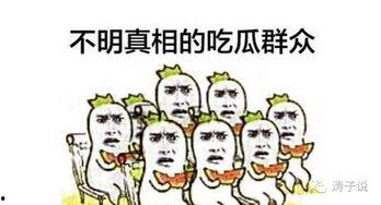 说的很对吃瓜群众,专家观点引发共鸣