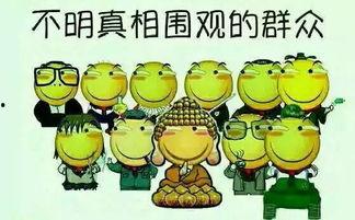 吃瓜群众吃自己的瓜