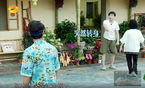 茌平吃瓜群众事件真相,真相与反思