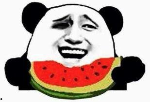 吃瓜群众只吃瓜,只吃瓜的趣味人生