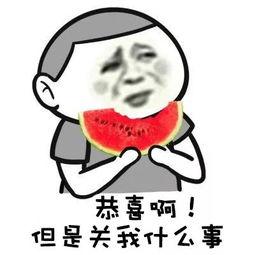 口罩吃瓜群众表情,表情解码