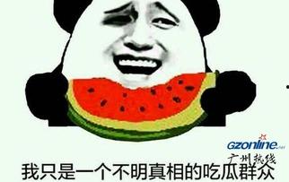 什么才叫吃瓜群众,网络时代下的围观者身份解析