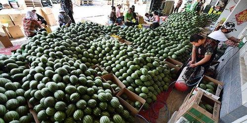 土匪吃瓜群众是谁啊图片,网络迷雾中的神秘角色