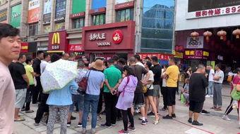 井研县吃瓜群众案件最新,揭秘网络谣言背后的真相与法律追责