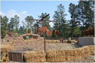 吃瓜群众团队游戏,欢乐游戏，趣味无限