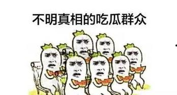 可笑吃瓜群众,揭秘“可笑吃瓜群众”的趣味人生