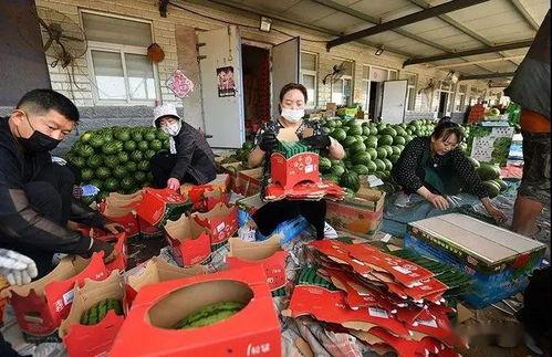 现场实拍吃瓜群众图片大全,吃瓜群众众生相