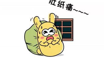 国庆吃瓜群众,吃瓜群众的热闹时光