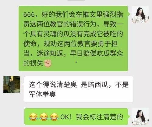 吃瓜群众账单图片高清无水印,高清无水印账单背后的消费秘密